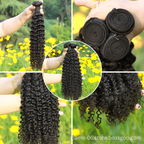 Privalte Label Cambodian Curly Hair Bundle Raw Virgin Cuticle Aligned Natura Brazil Human Hair Weave Mink Remy Brazilian Hairs